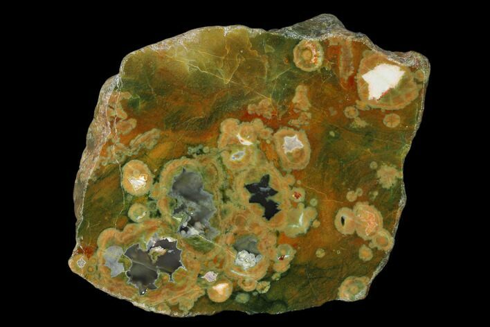 Polished Rainforest Jasper (Rhyolite) Slab - Australia #150503